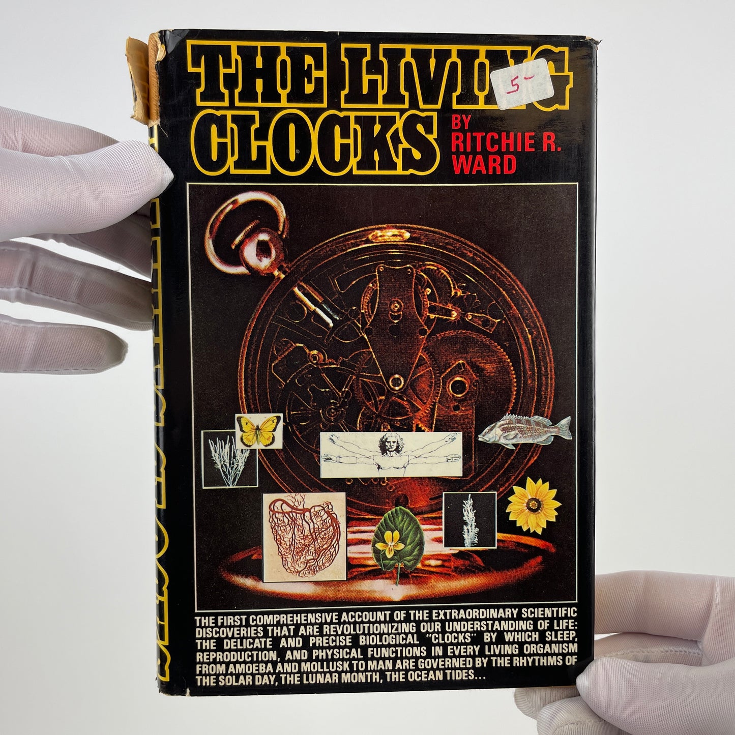 Nov Lot 50- Clock Books set of (4)