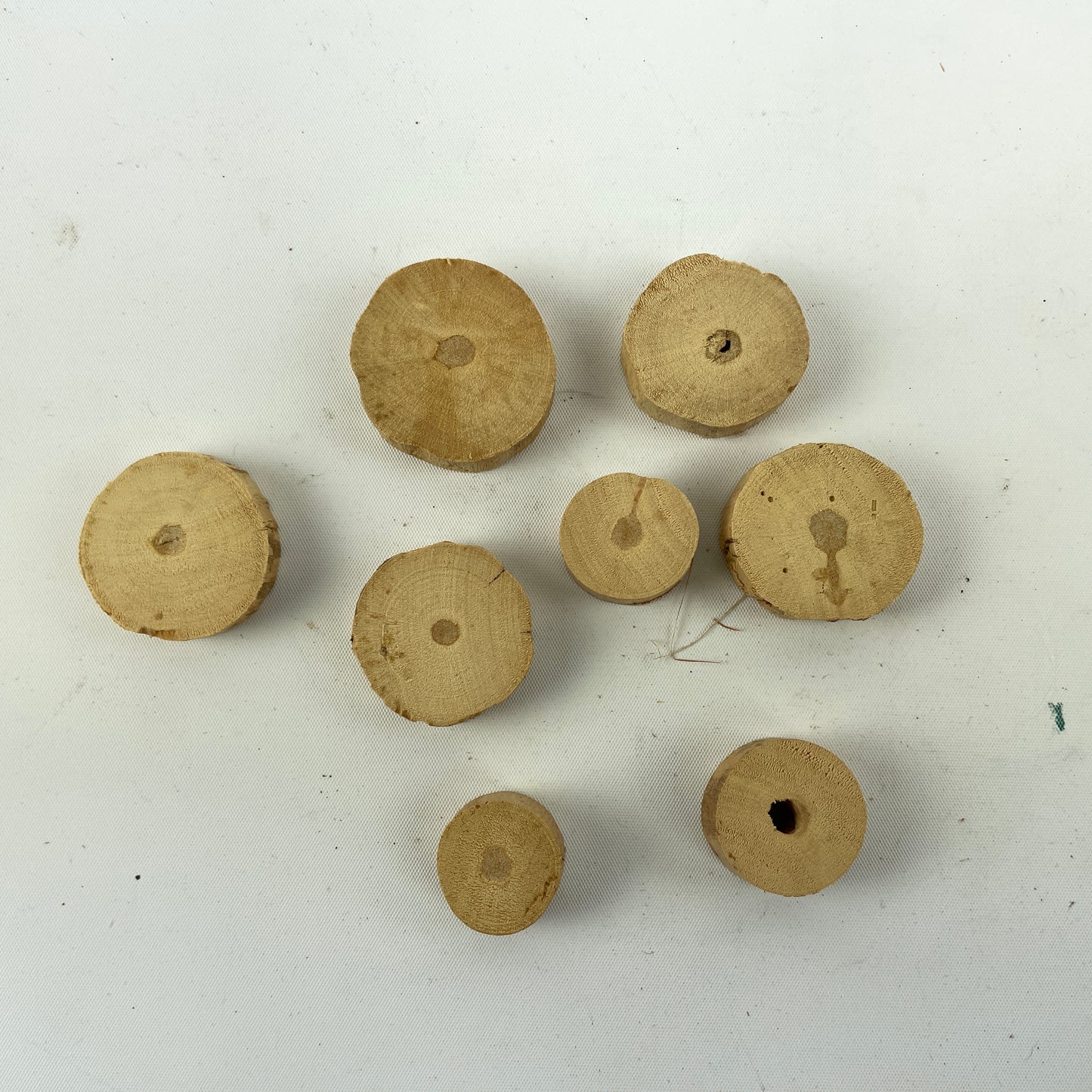 Feb Lot 62- Watchmaker’s Selection of NOS Pith Wood