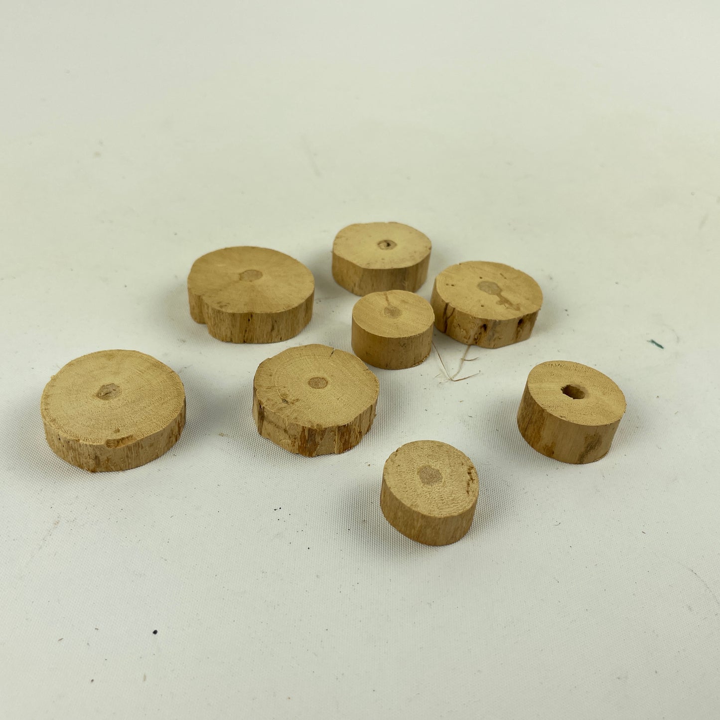 Feb Lot 62- Watchmaker’s Selection of NOS Pith Wood