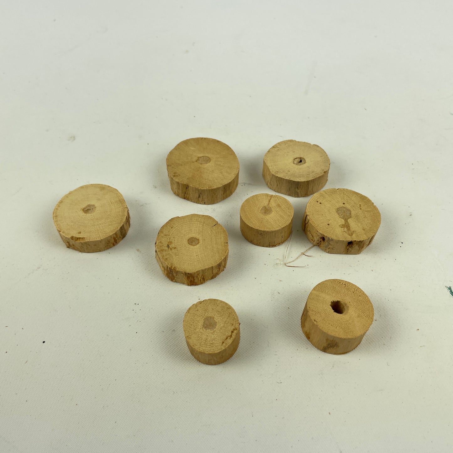 Feb Lot 62- Watchmaker’s Selection of NOS Pith Wood