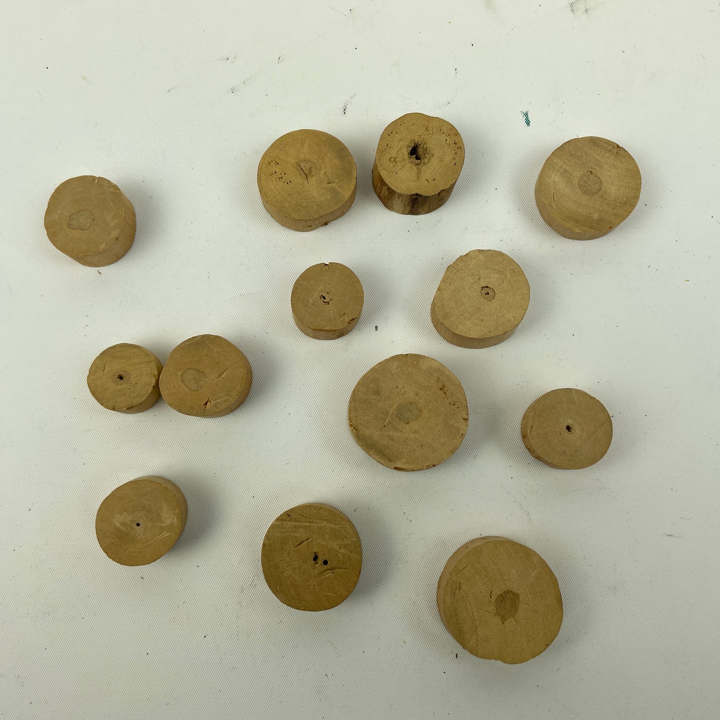 Lot 110- Watchmaker’s Selection of 13 Pieces of Florida “PITH WOOD"