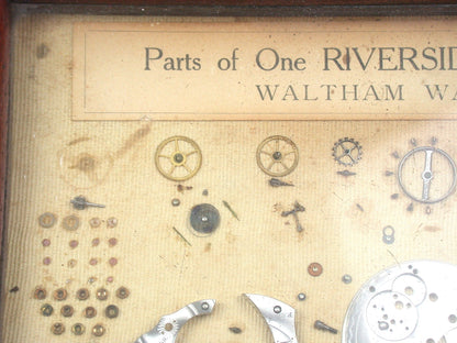 Lot 1- Waltham Disassembled Riverside Framed Pocket Watch Movement